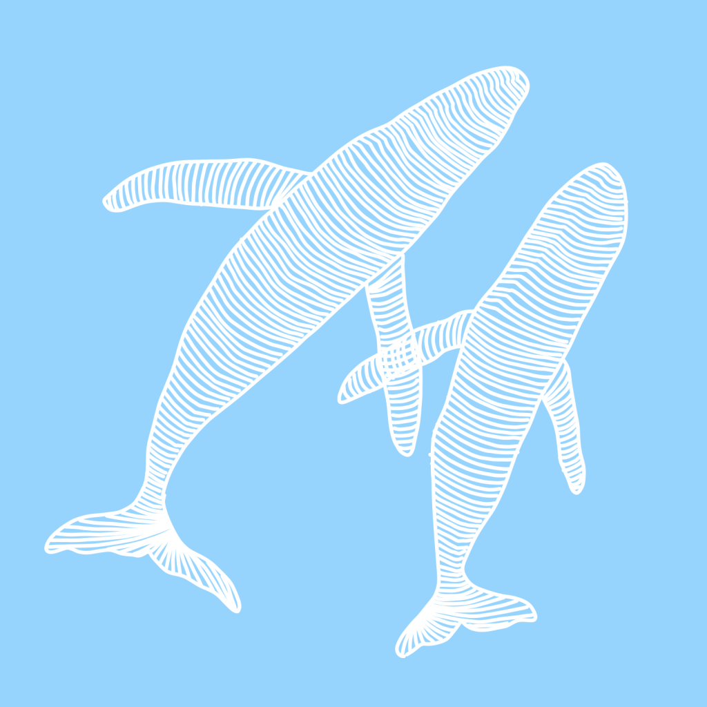 WHALE